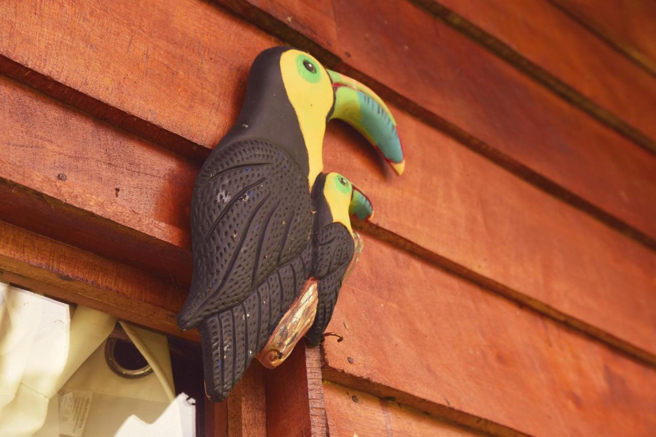 Pacuare Mountain Lodge Tres Equis エクステリア 写真